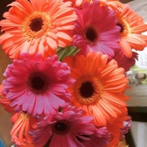 Meet your Posher, Kristin